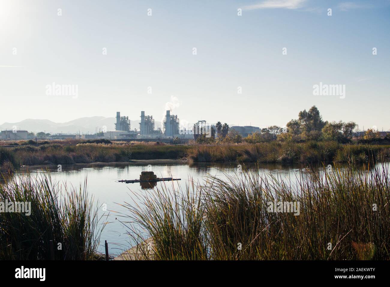 Nature reserve at the Dow wetlands with three incongruous industrial chemical plant buildings dominating the skyline in an otherwise rural landscape Stock Photo