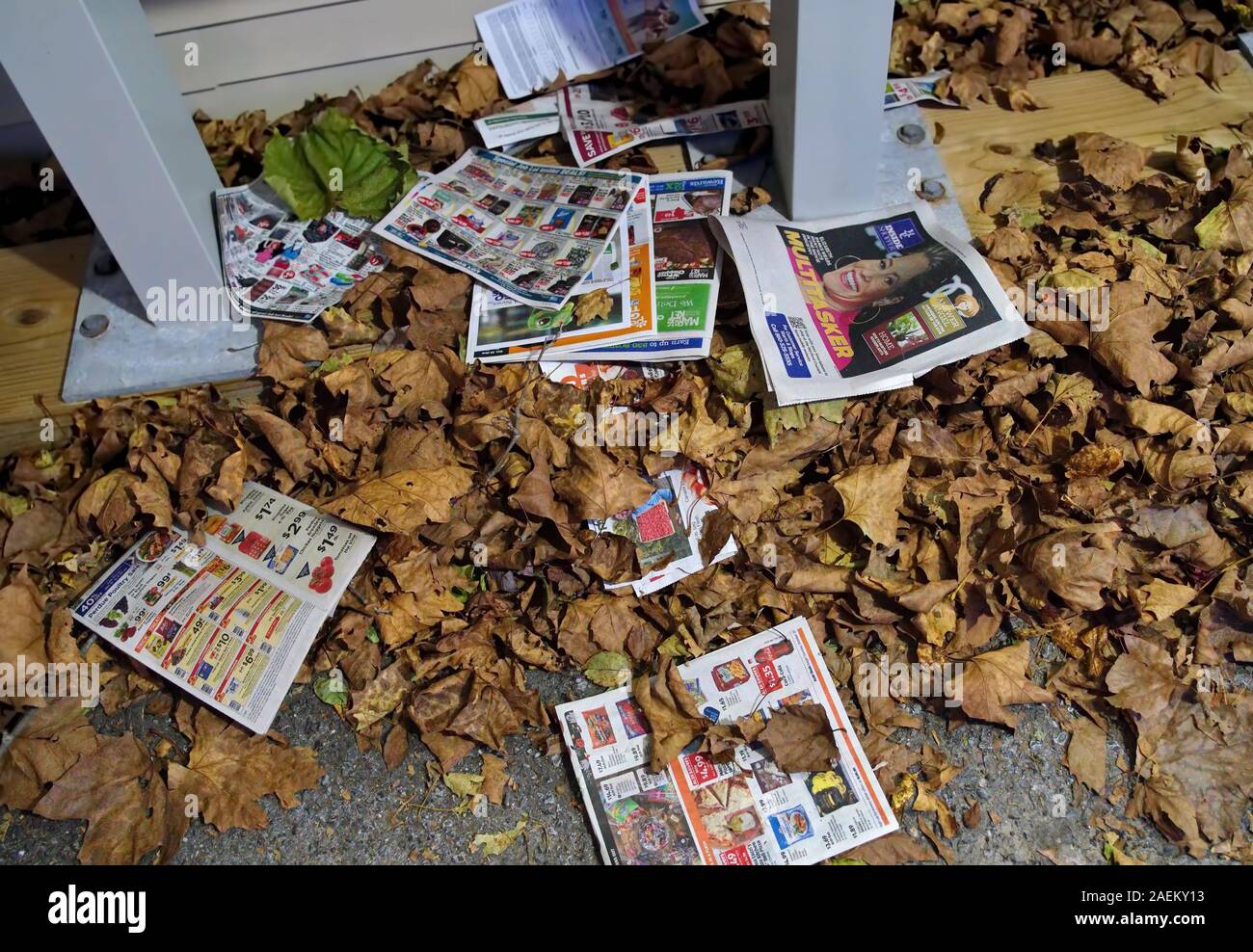 Middletown, CT USA. Nov 2019. Junk mail catalogs, newspaper, ads, etc. scattered on mailbox floor with dried up fall leaves. Stock Photo