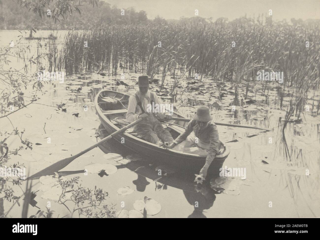 Peter Henry Emerson, Gathering Water-Lilies, 1886 Gathering Water-Lilies; 1886date Stock Photo