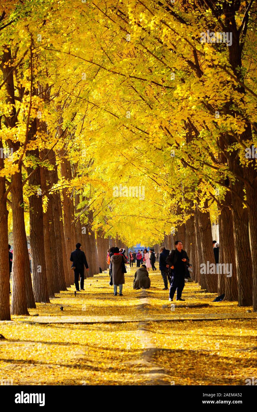 Puctures hi-res stock photography and images - Alamy
