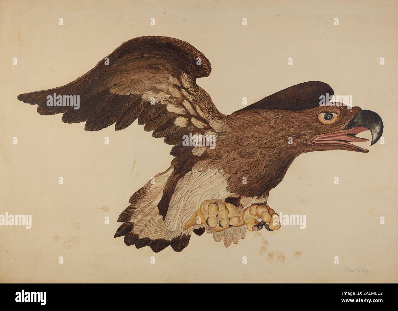 Robert Gilson, Carved Wooden Eagle, c 1939, Carved Wooden Eagle; circa