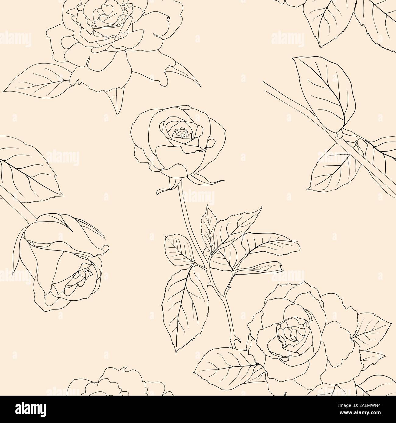 Seamless wallpaper with rose flowers Stock Vector Image & Art - Alamy