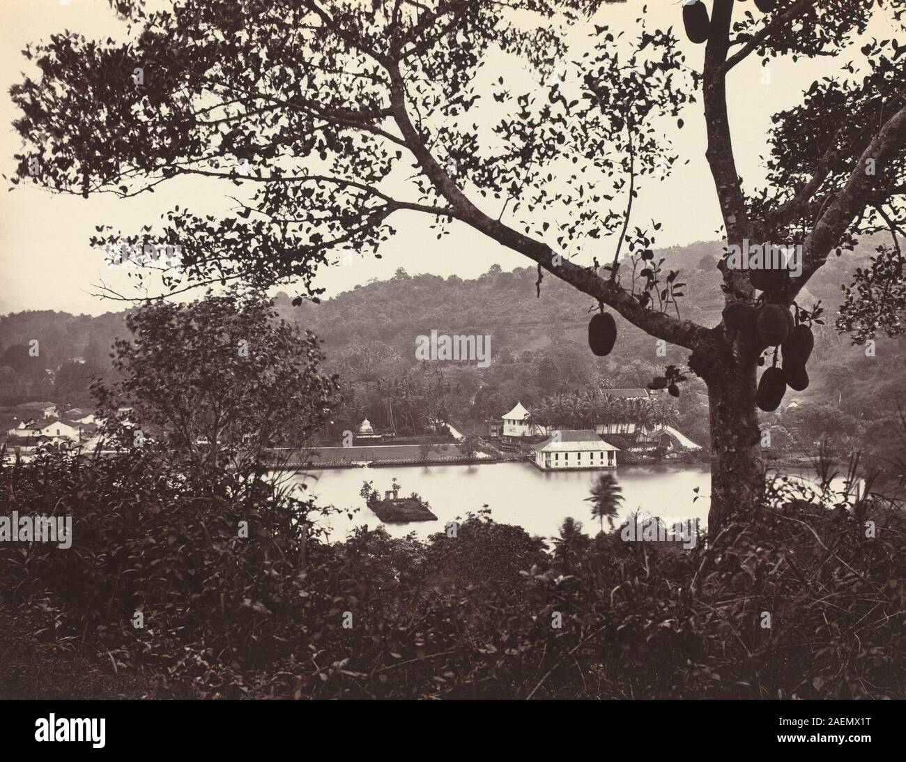 Samuel Bourne, A Peep from Upper Lake Road showing Temple and Island with Park -- fruit tree in foreground, c1865, A Peep from Upper Lake Road showing Temple and Island with Park -- fruit tree in foreground; circa 1865  date Stock Photo