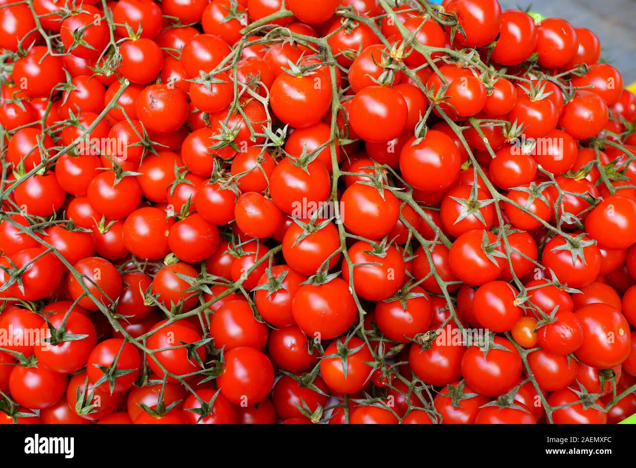 Branches of colorful tomatoes at the farmers market Stock Photo - Alamy