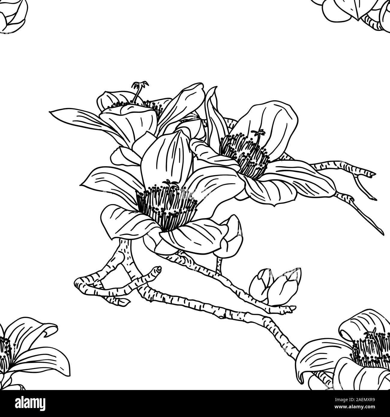 Seamless orchid Black and White Stock Photos & Images - Alamy