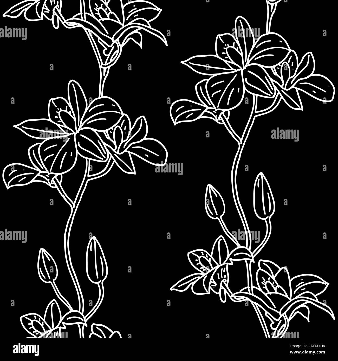 Vector seamless background with orchids Stock Vector Image & Art - Alamy
