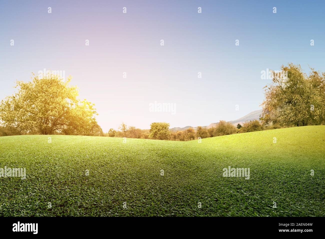 Green grass field with trees and blue sky background Stock Photo - Alamy