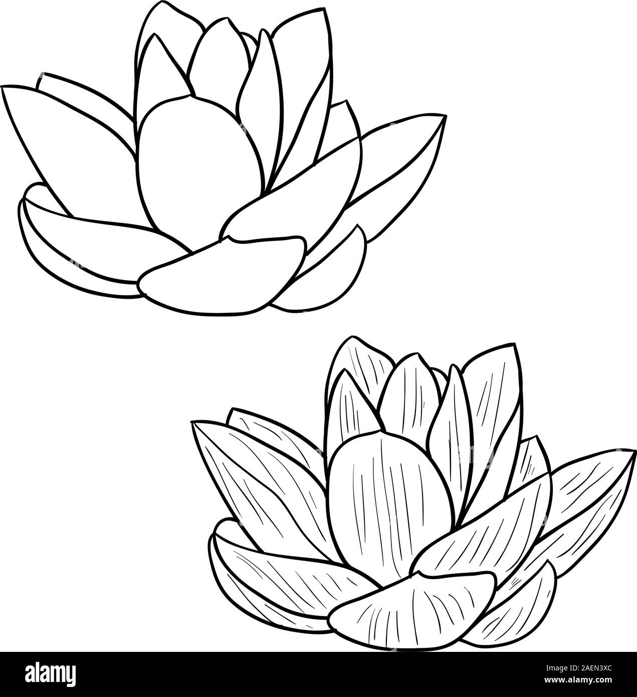 Oriental lotus - a flower Vector illustration Stock Vector Image & Art ...