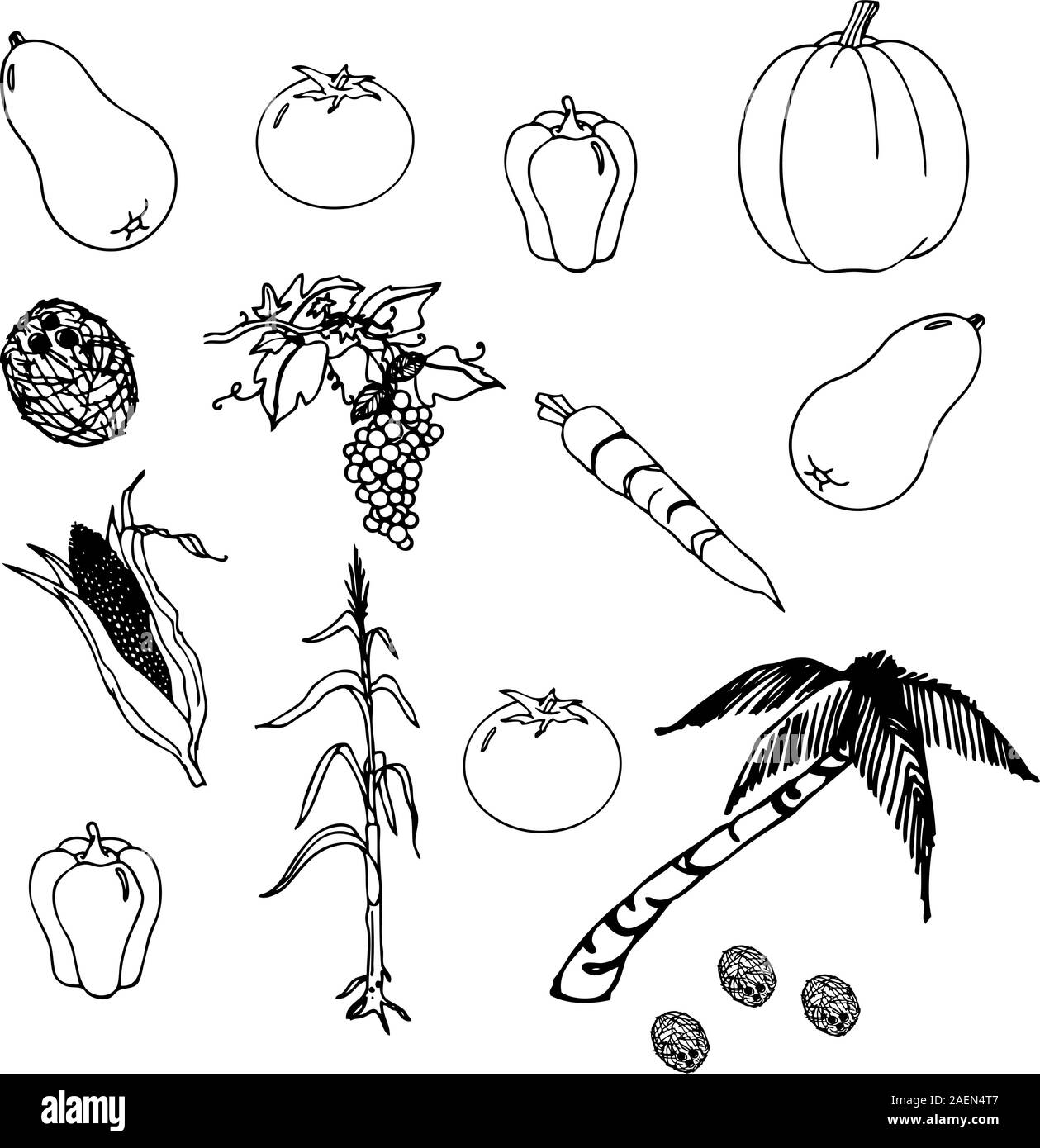 Vegetables set in the vector Stock Vector Image & Art - Alamy
