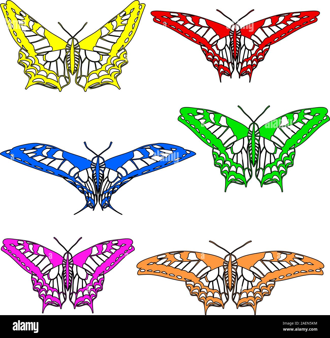 Vector set of beautiful butterflies Stock Vector Image & Art - Alamy