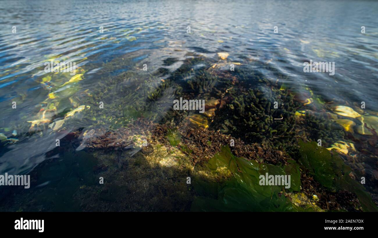 Oyster beach on to coastal area of lake Grevelingenmeer near the city