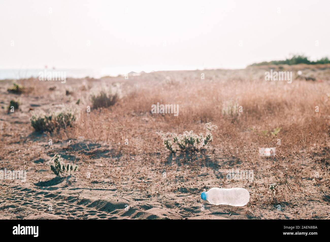 Plastic bottles waste on a beach. Earth pollution concept. Stock Photo