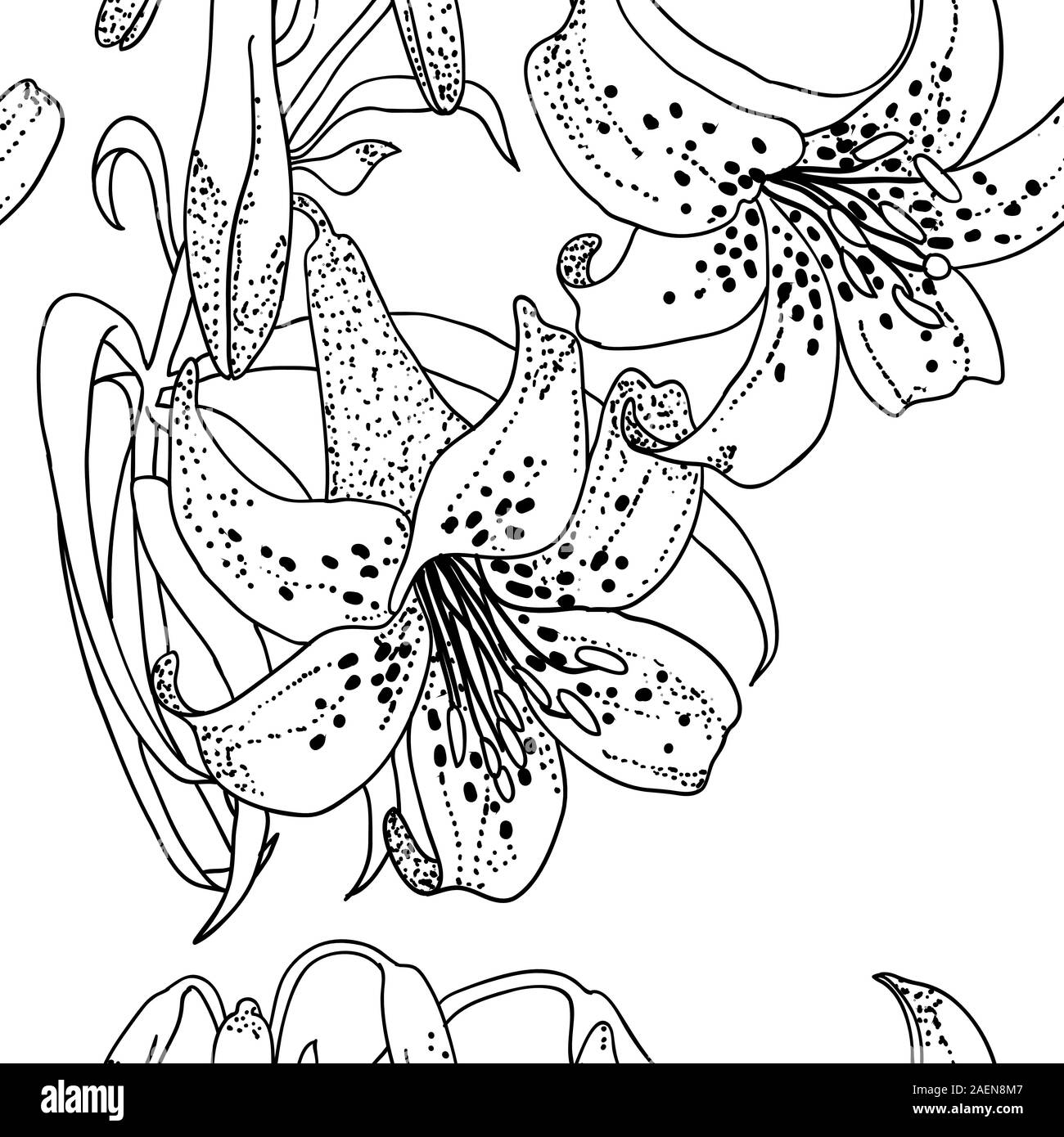 Seamless wallpaper with Lily flowers Stock Vector Image & Art - Alamy