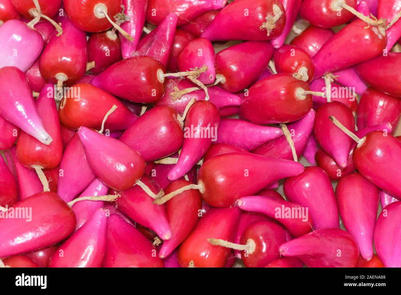 Pitiguey pink fruits assortment marketplace. Group Stock Photo