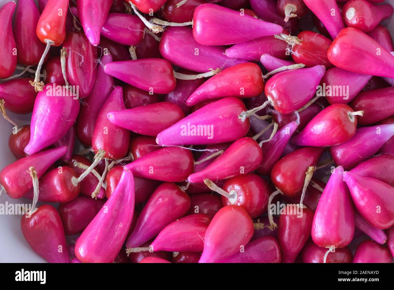 Pitiguey pink fruits assortment marketplace. Group Stock Photo