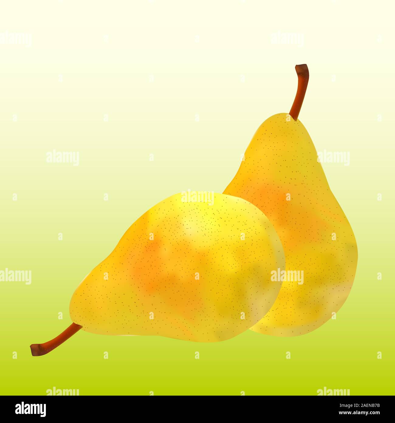 Photo-realistic vector illustration of the two green ripe pears Stock ...