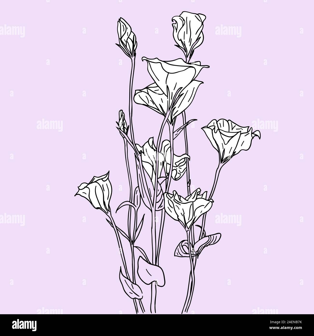 vector flower background Stock Vector Image & Art - Alamy