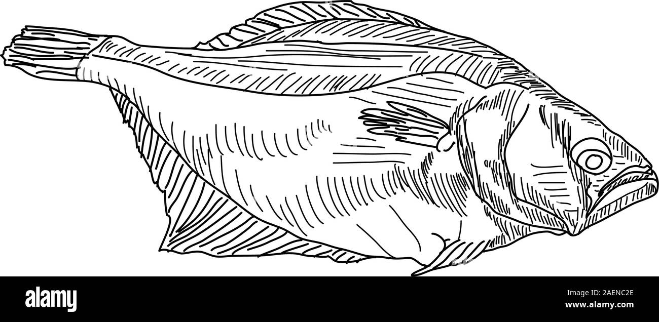 vector drawing hand fish Stock Vector