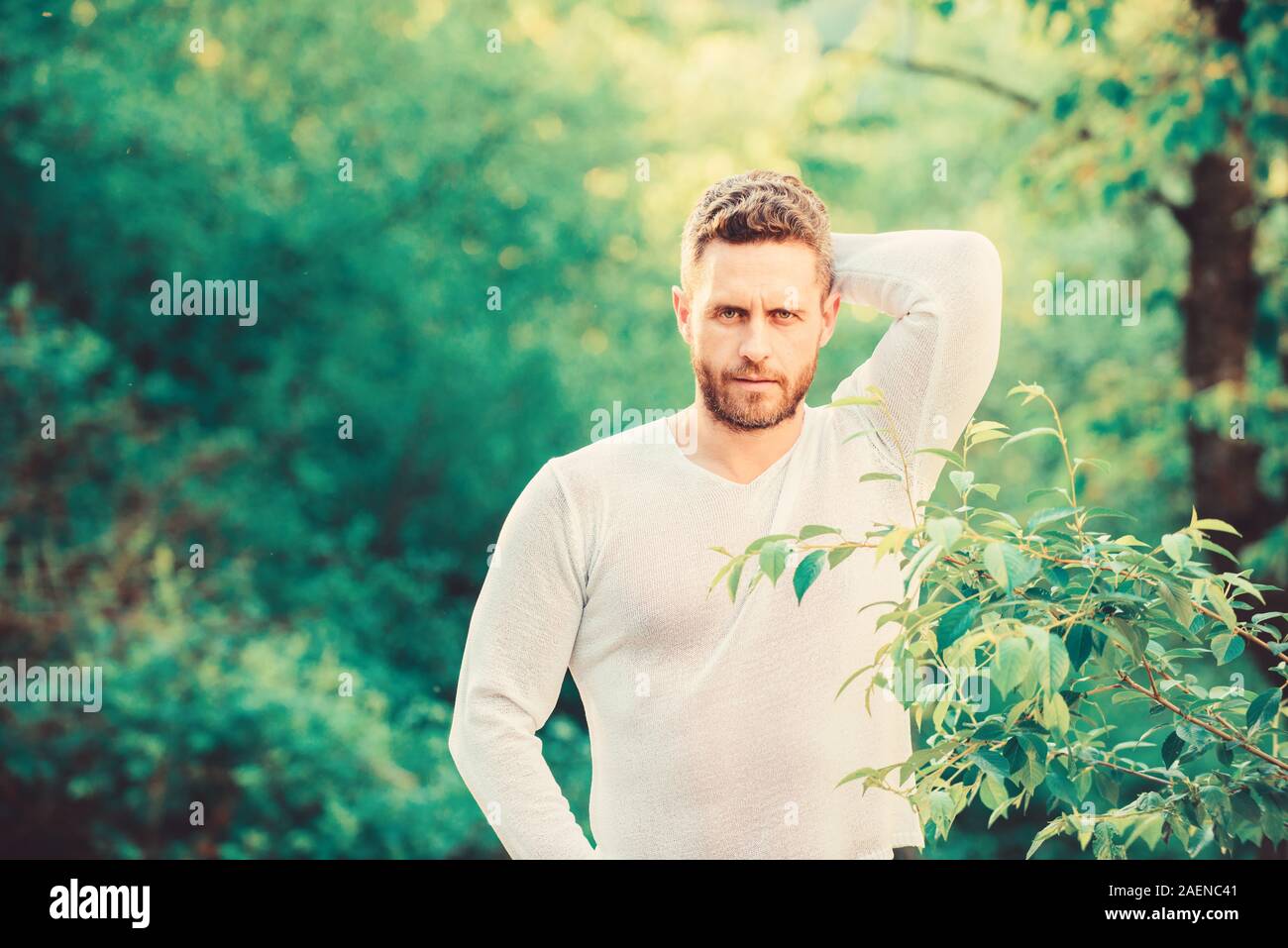 time to think. ecological life for man. man in green forest. morning in  nature. healthy lifestyle. nature health. mature fashion model. macho man.  thoughtful man in forest. handsome and confidence Stock Photo -