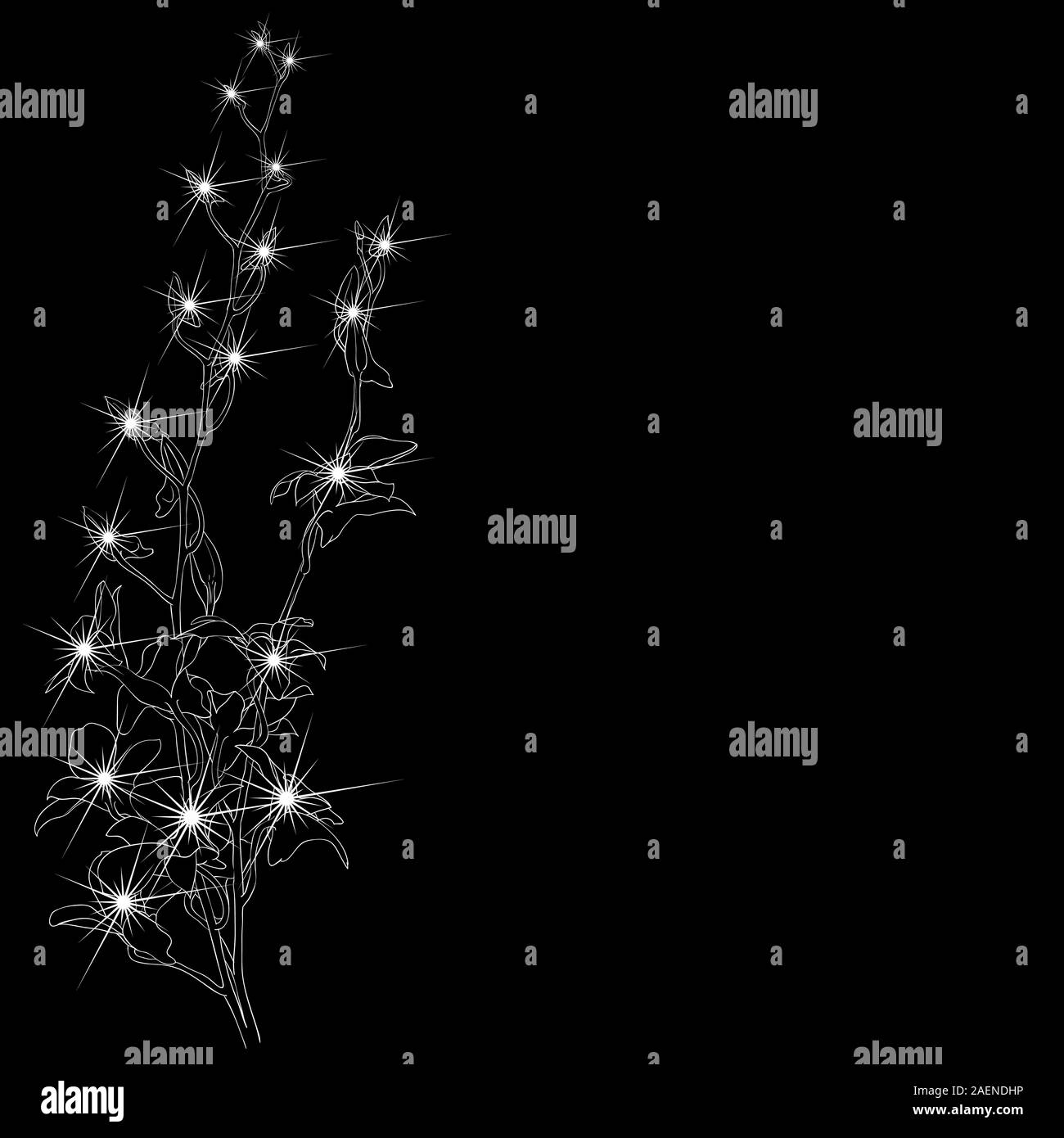 Cosmos flower vector vectors Black and White Stock Photos & Images - Alamy