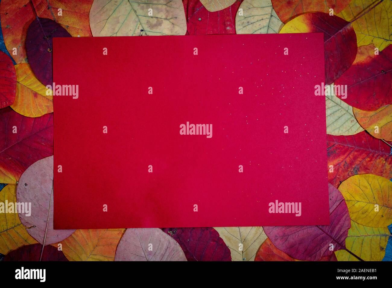 colored background with autumn leaves with place for text Stock Photo ...