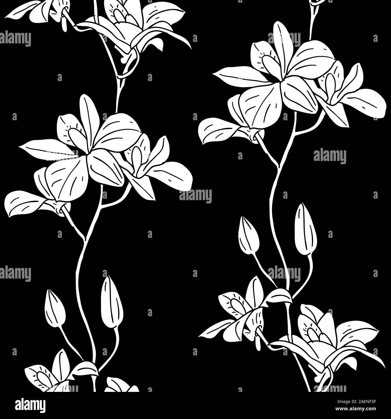 Vector seamless background with orchids Stock Vector Image & Art - Alamy