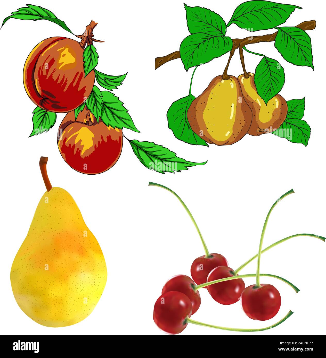 set of pear fruits cherry and peach Stock Vector Image & Art - Alamy