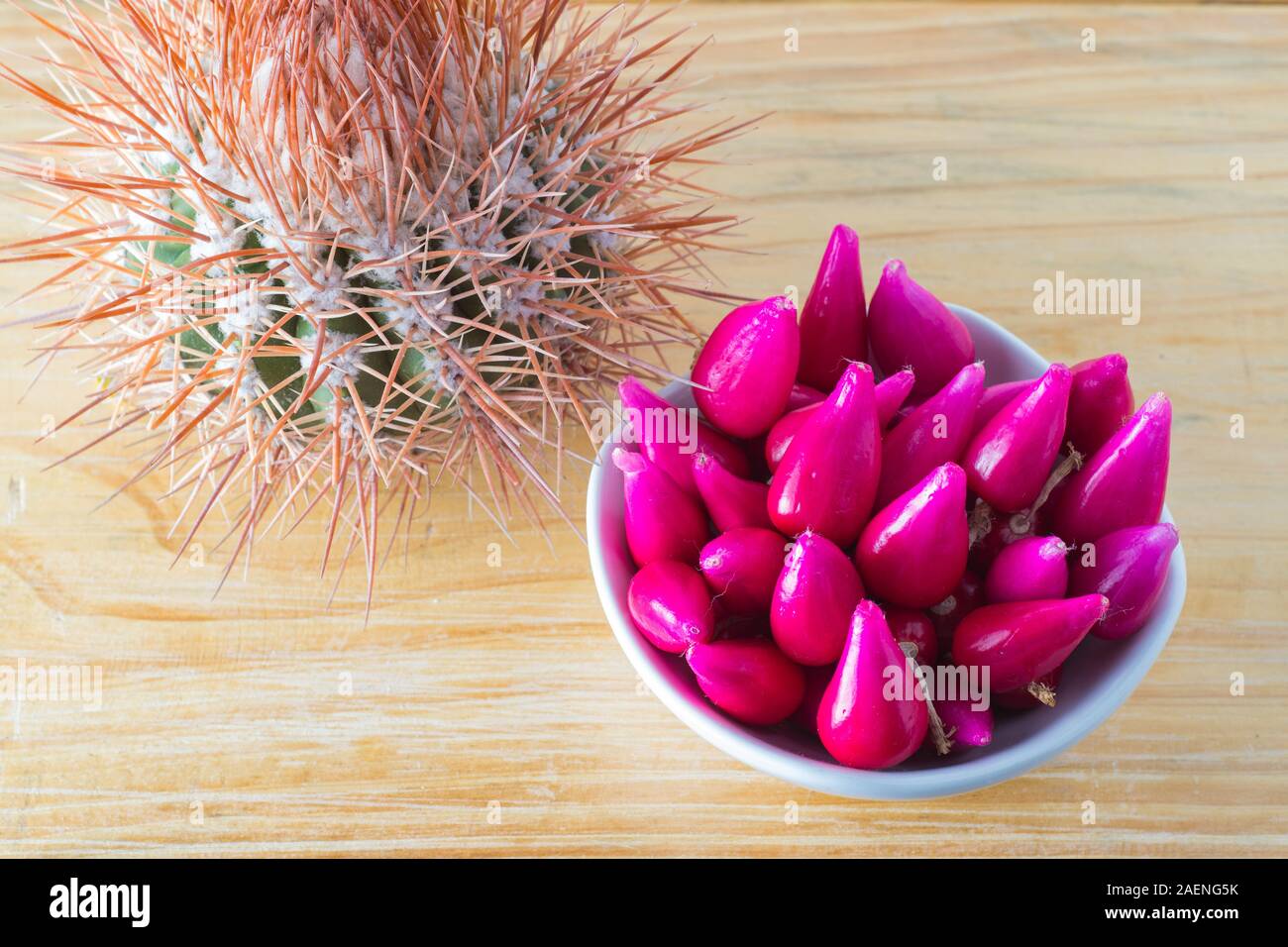 Pitiguey Pink Fruit and Melocactus Curvispinus..from abive Stock Photo