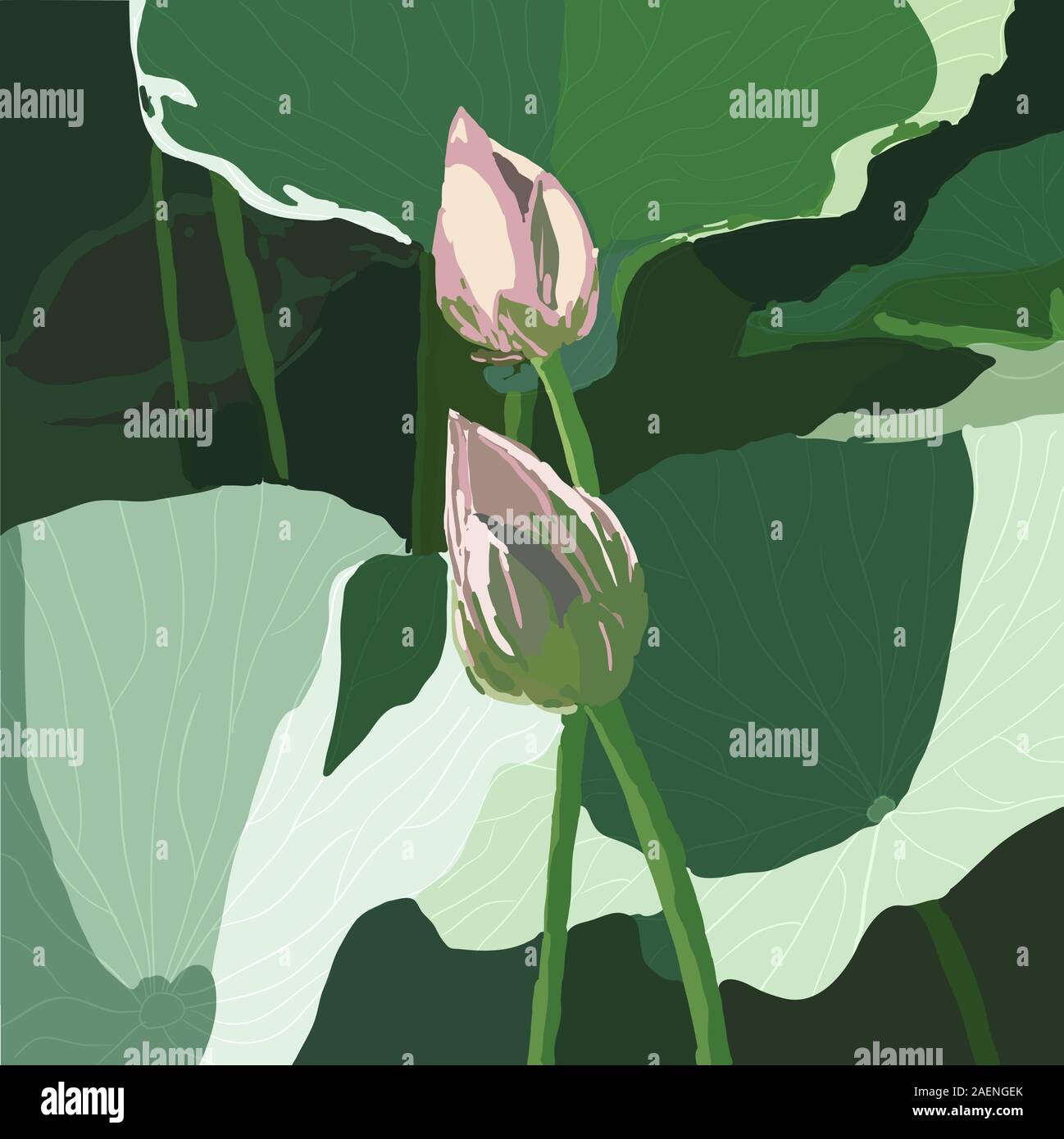 EPS 10 Realistic Oriental lotus - a flower Vector illustration Stock ...