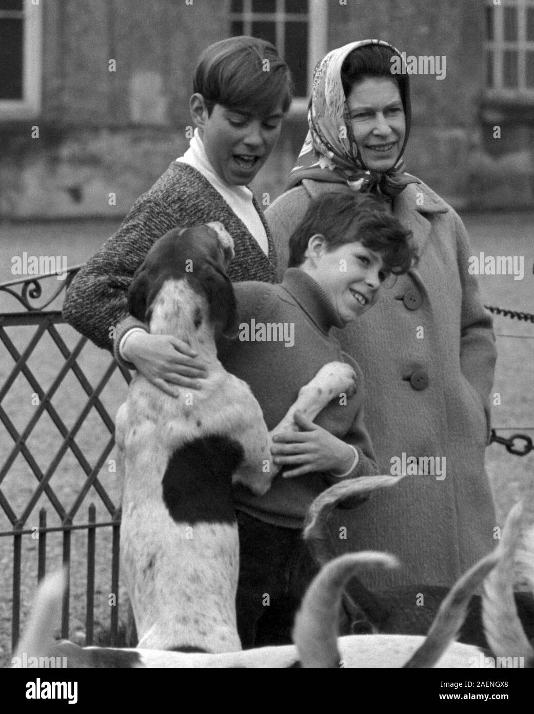 Queen Elizabeth II alongside Prince Andrew (left, taller) and his cousin Viscount-Linley play with hounds of the Duke of Beaufort, at a cross-country event at Badminton. Stock Photo