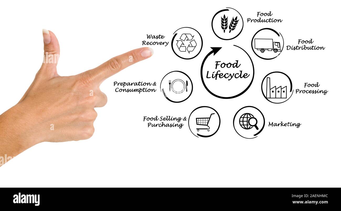 Food waste recovery hires stock photography and images Alamy