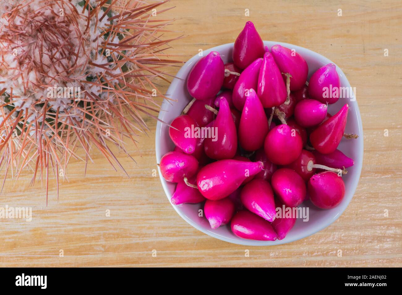 Pitiguey Pink Fruit and Melocactus Curvispinus..from abive Stock Photo
