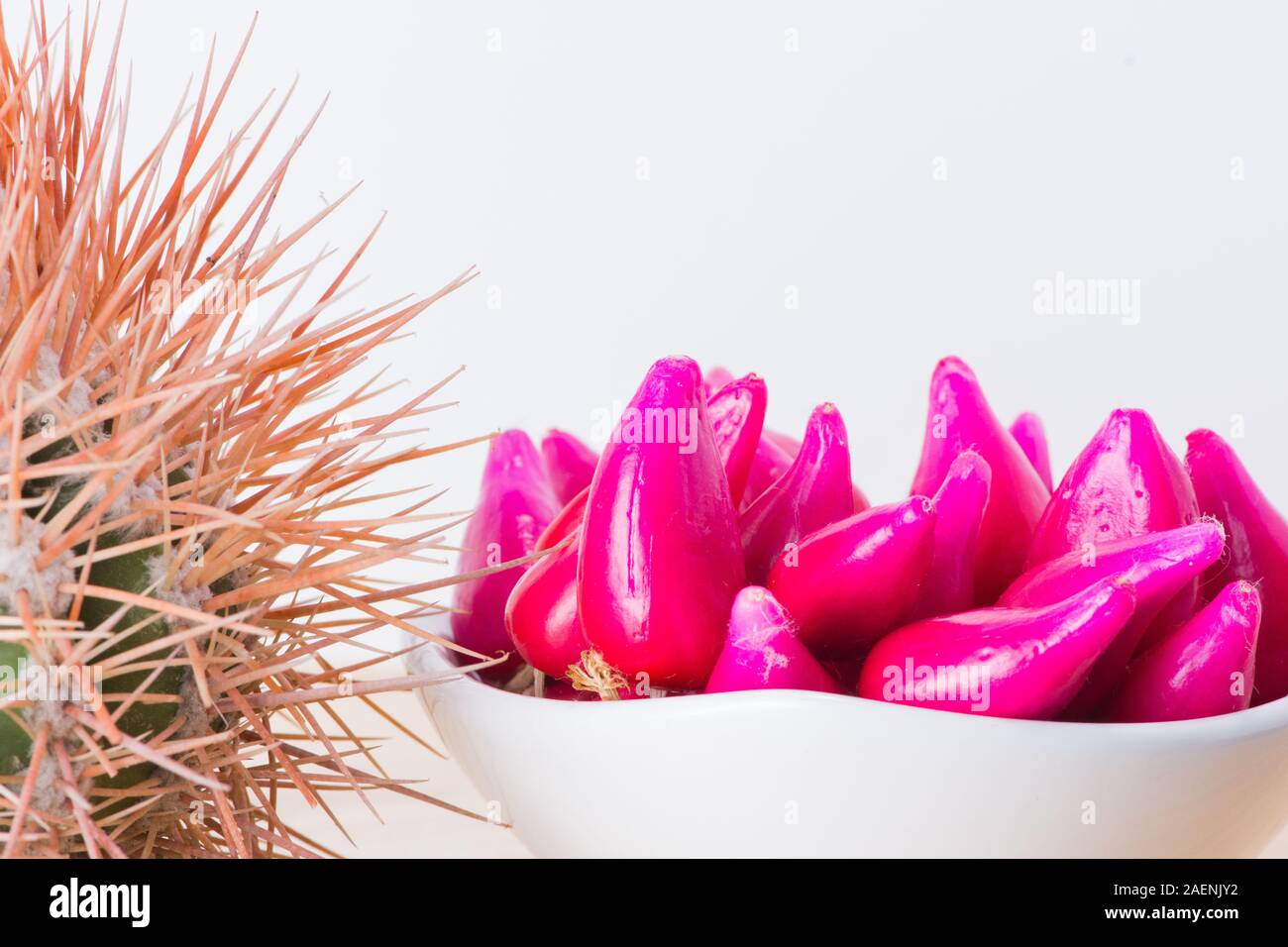 Pitiguey Pink Fruit and Melocactus Curvispinus. Stock Photo