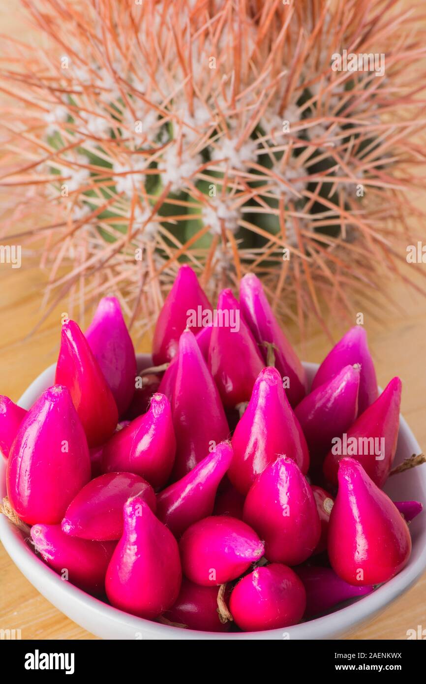Pitiguey Pink Fruit white Bowl and Melocactus Curvispinus Stock Photo -  Alamy