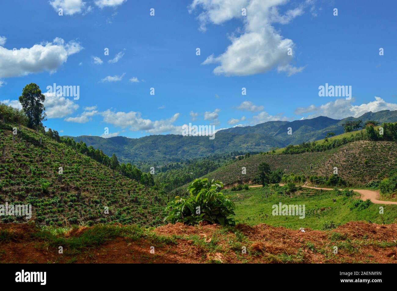 Kanungu hi-res stock photography and images - Alamy