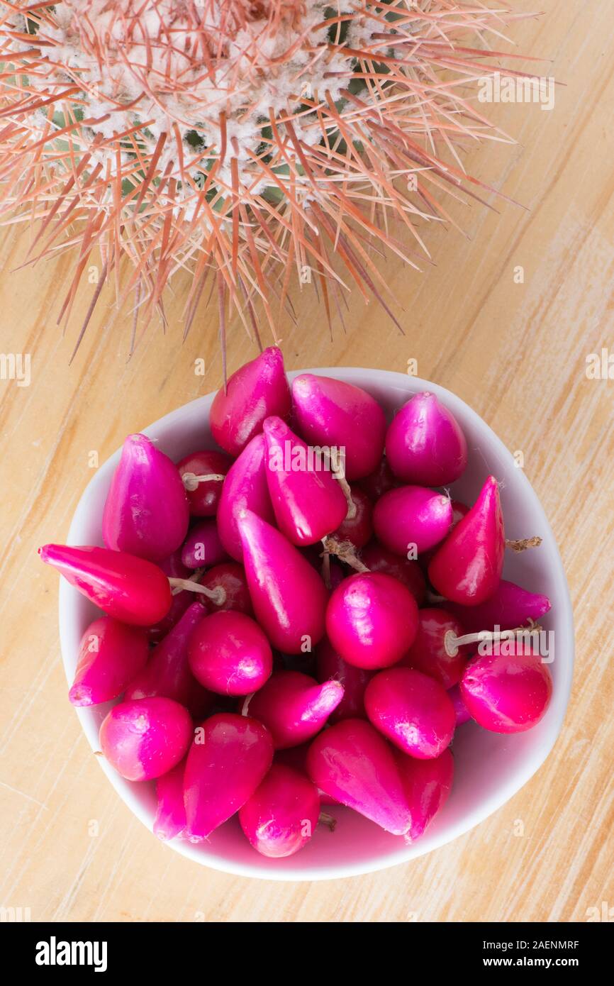 Pitiguey Pink Fruit and Melocactus Curvispinus. Vertical Top Down Stock Photo