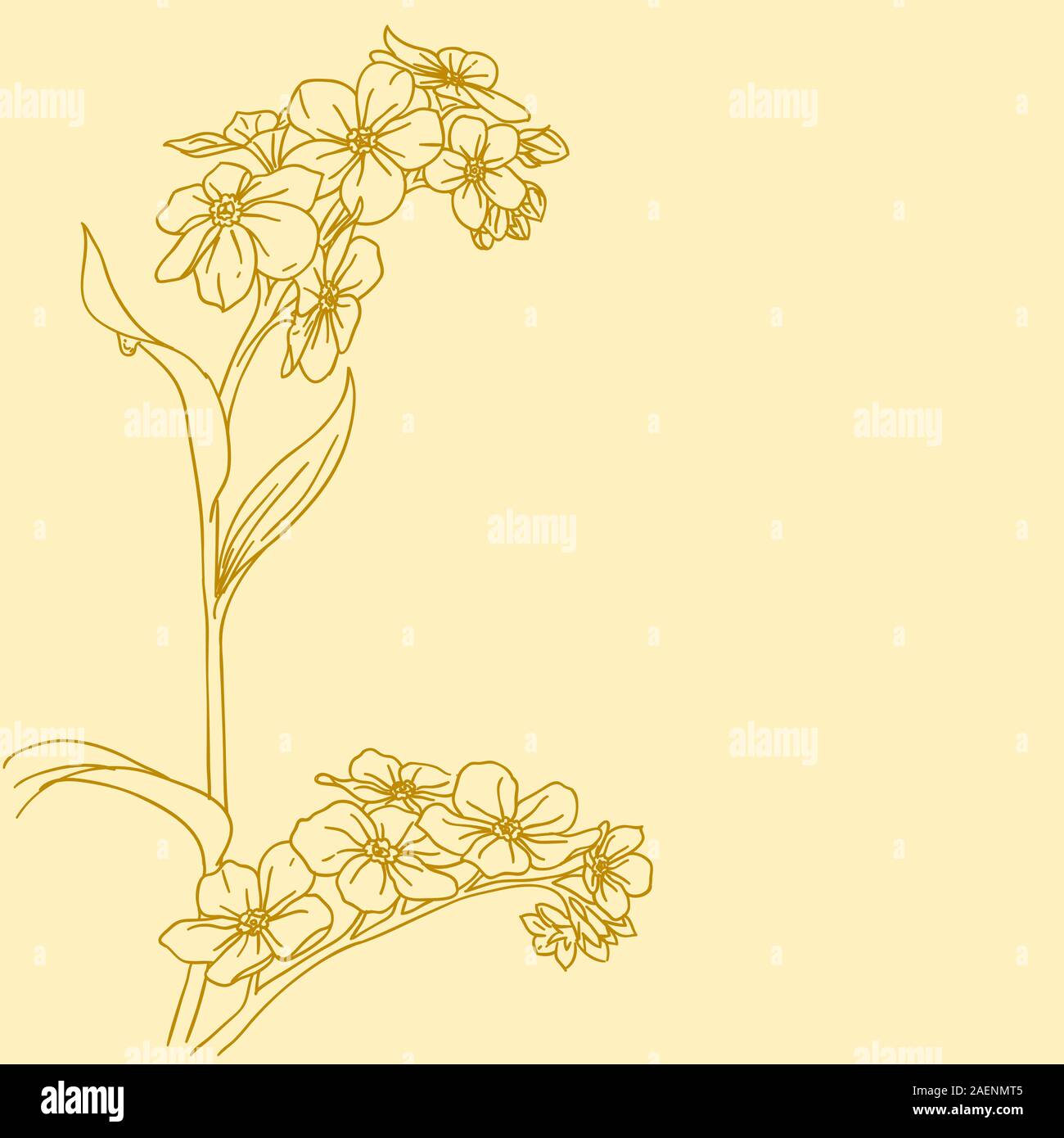 Beautiful flowers on a white background drawn by hand Stock Vector ...