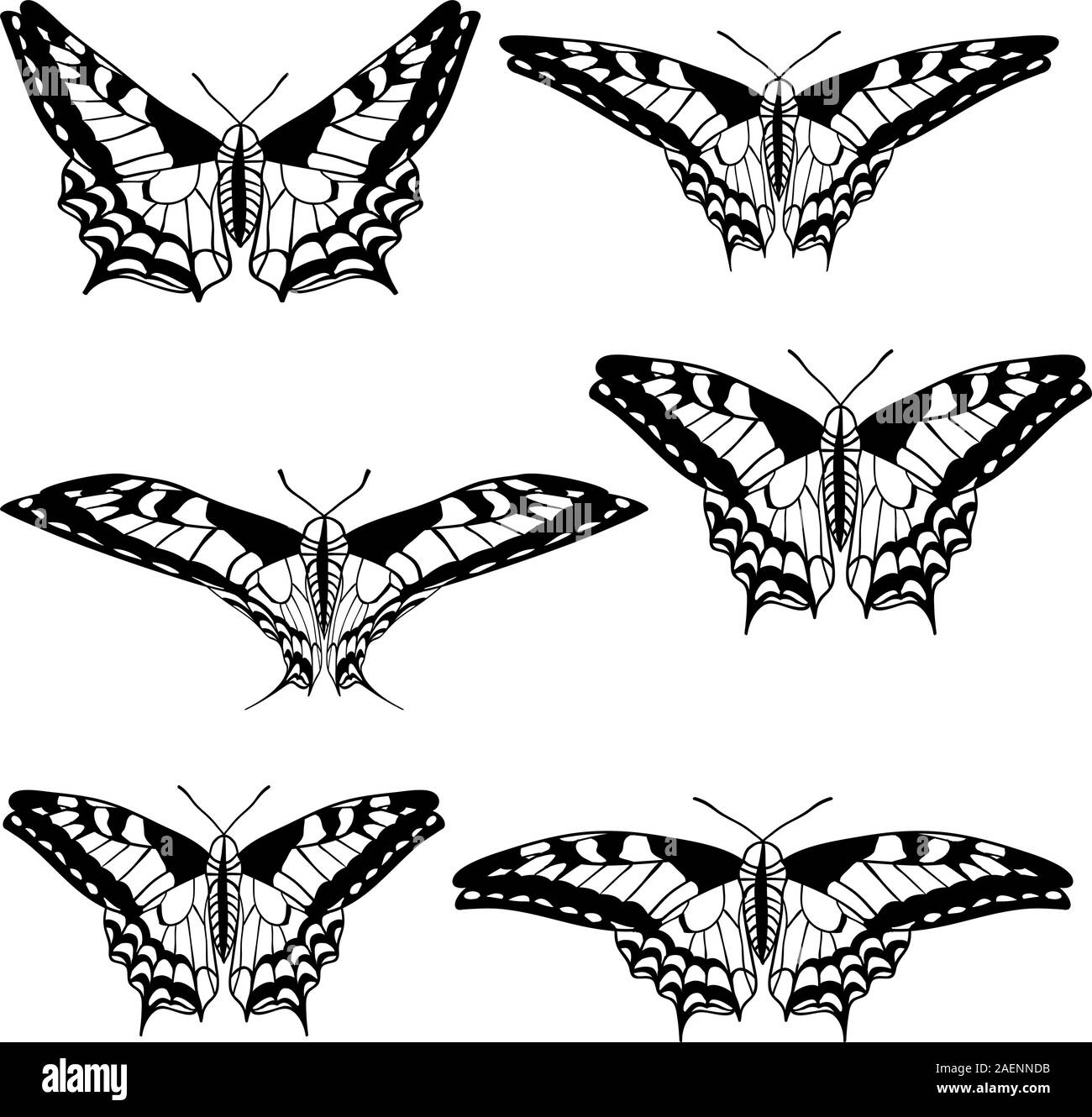 Vector set of beautiful butterflies Stock Vector Image & Art - Alamy