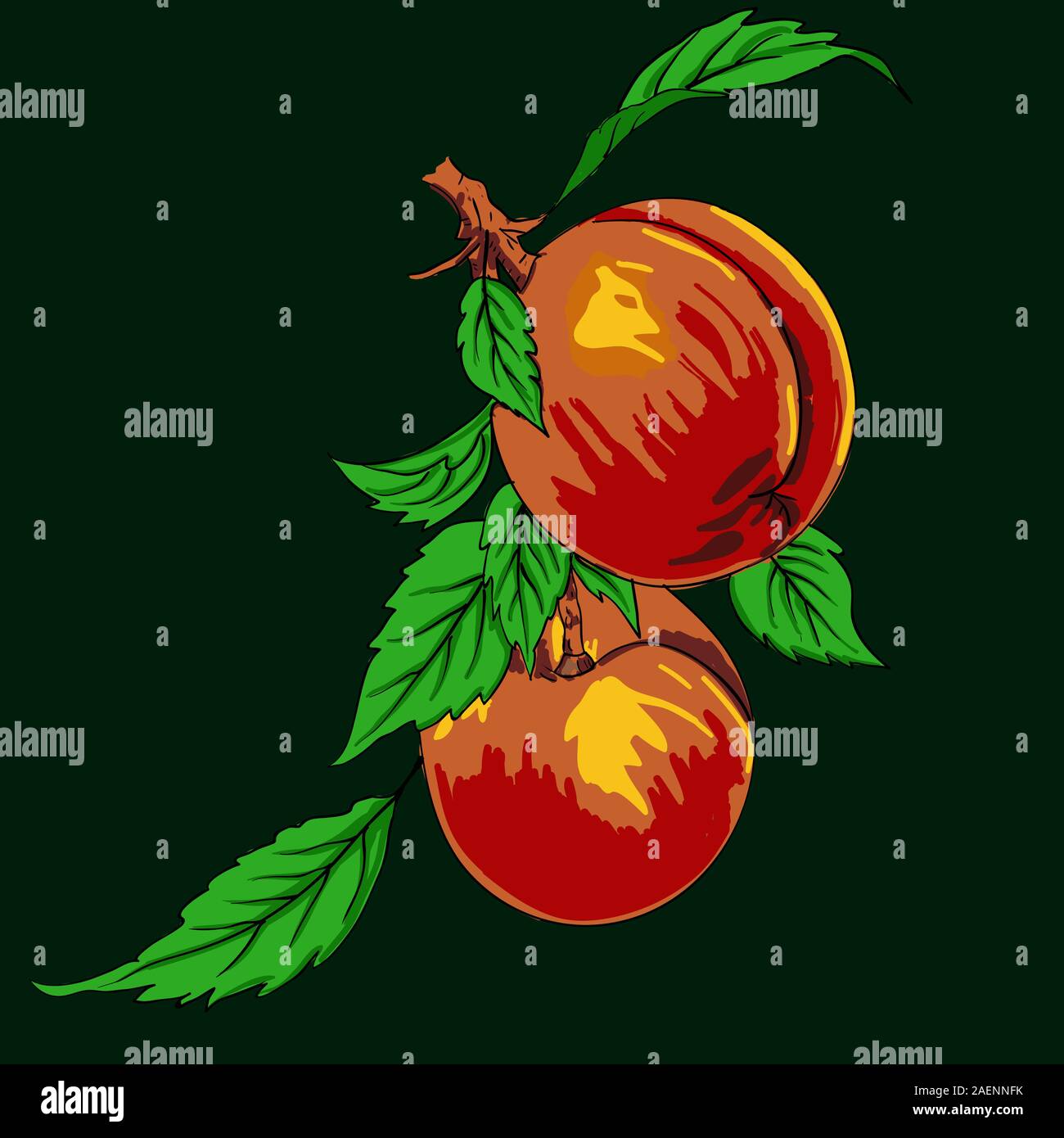 Two peaches with leaves on a branch on a light background Stock Vector
