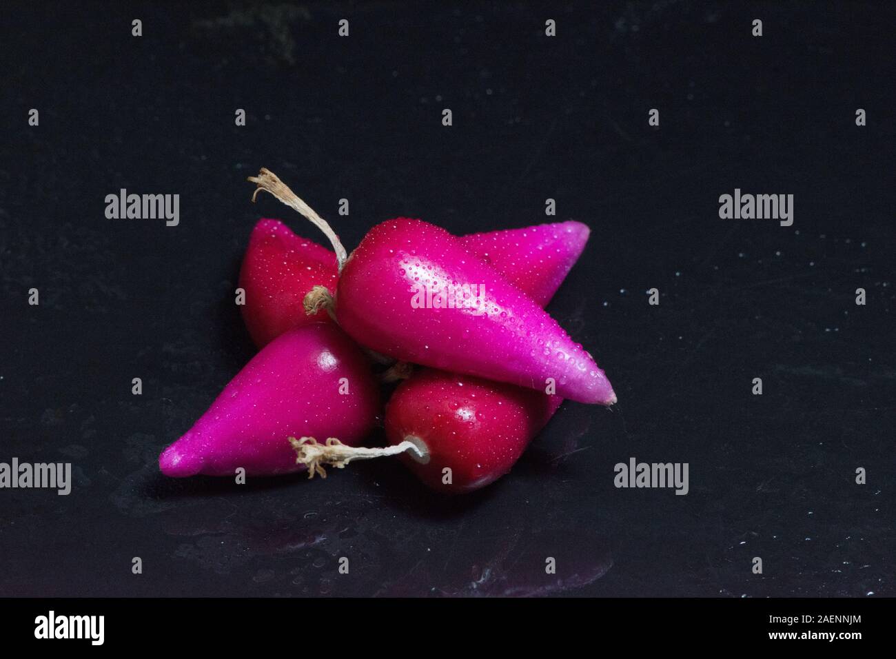 Pitiguey Pink Fruit Close up on Black Background Stock Photo