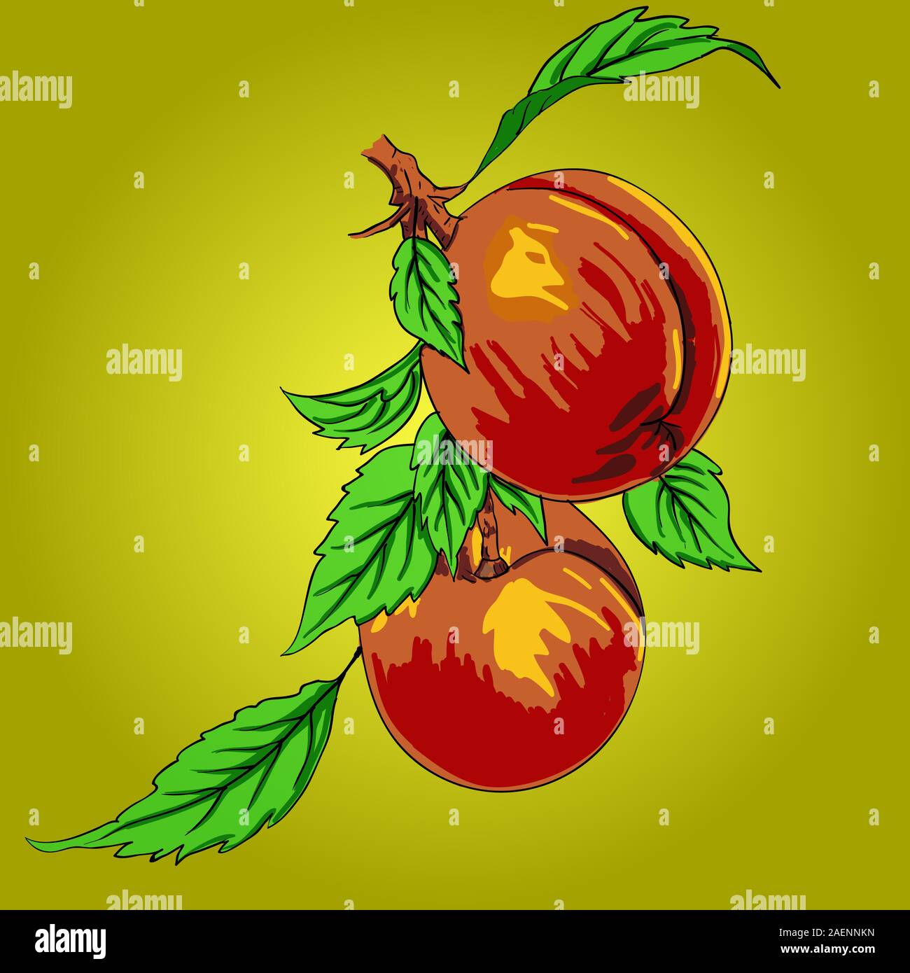 Two peaches with leaves on a branch on a light background Stock Vector