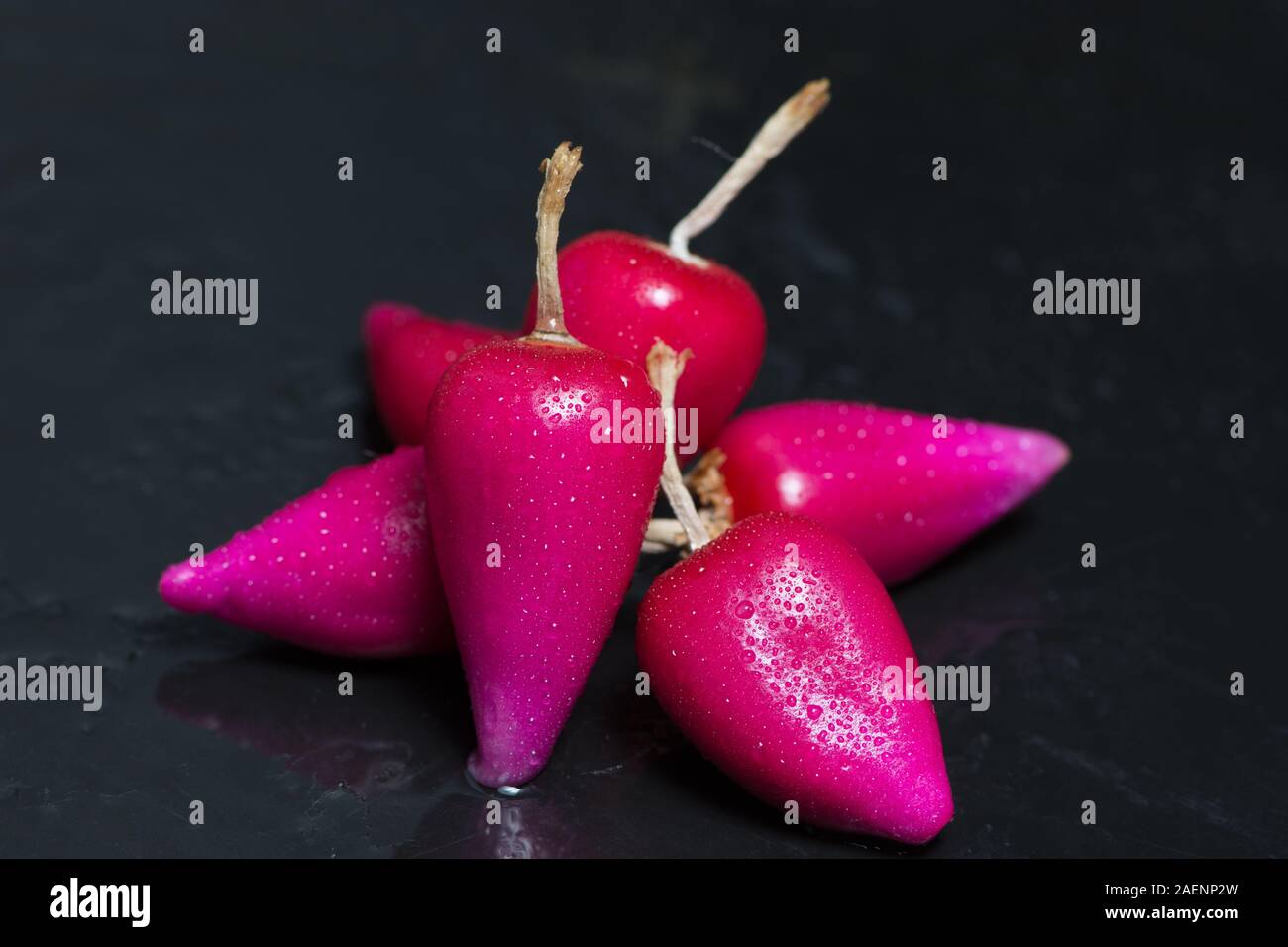 Pitiguey Pink Fruit Close up on Black background Stock Photo