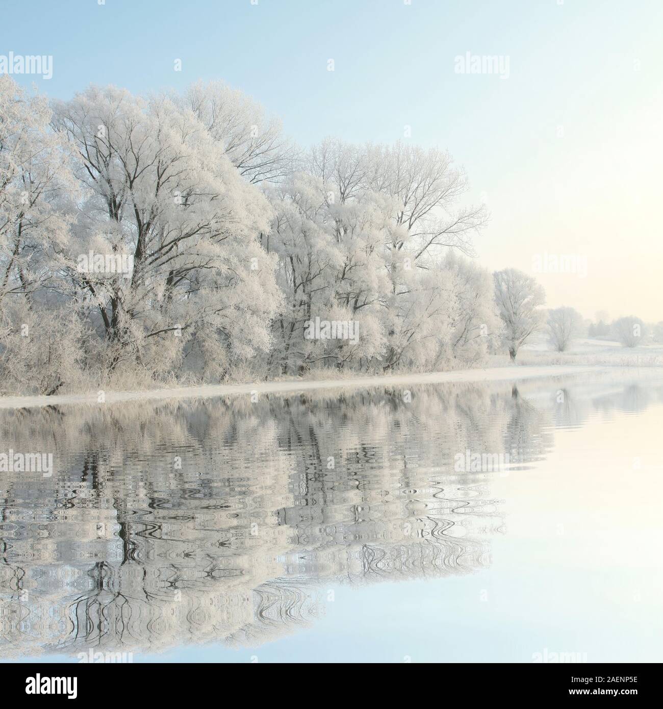 Frosty winter trees against a blue sky with reflection in water Stock ...