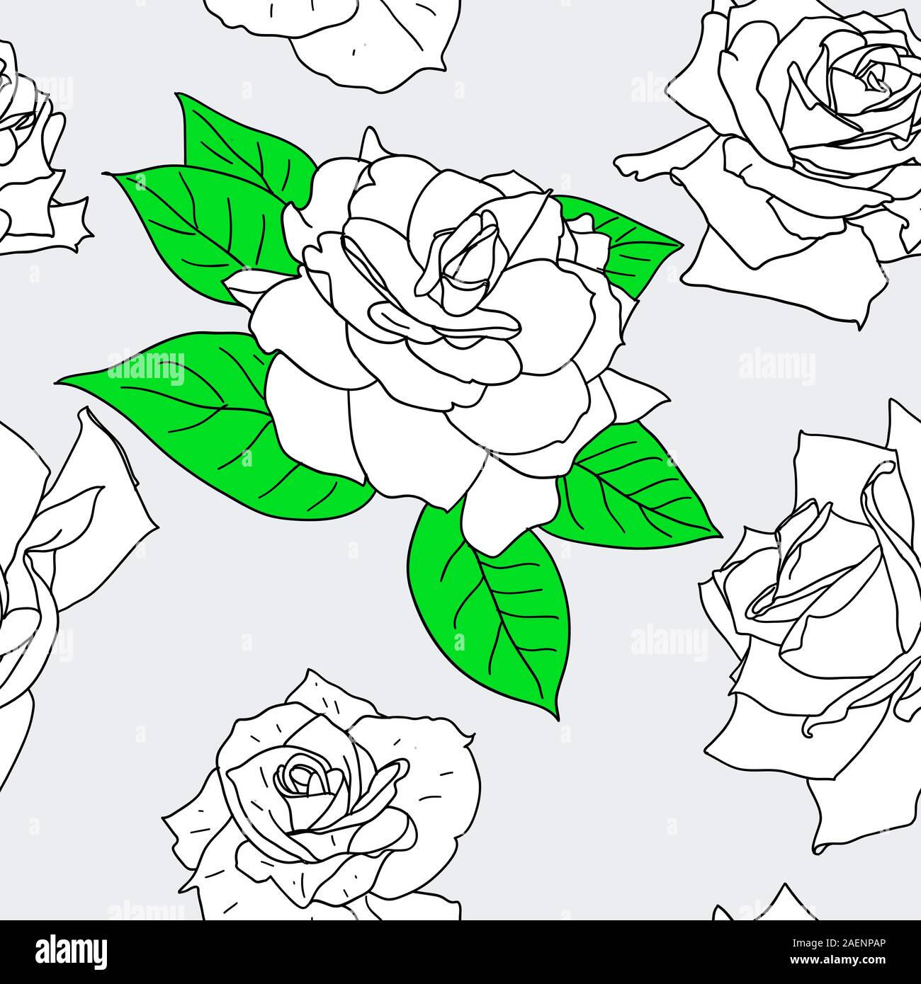 Seamless wallpaper with beautiful flowers Stock Vector Image & Art - Alamy