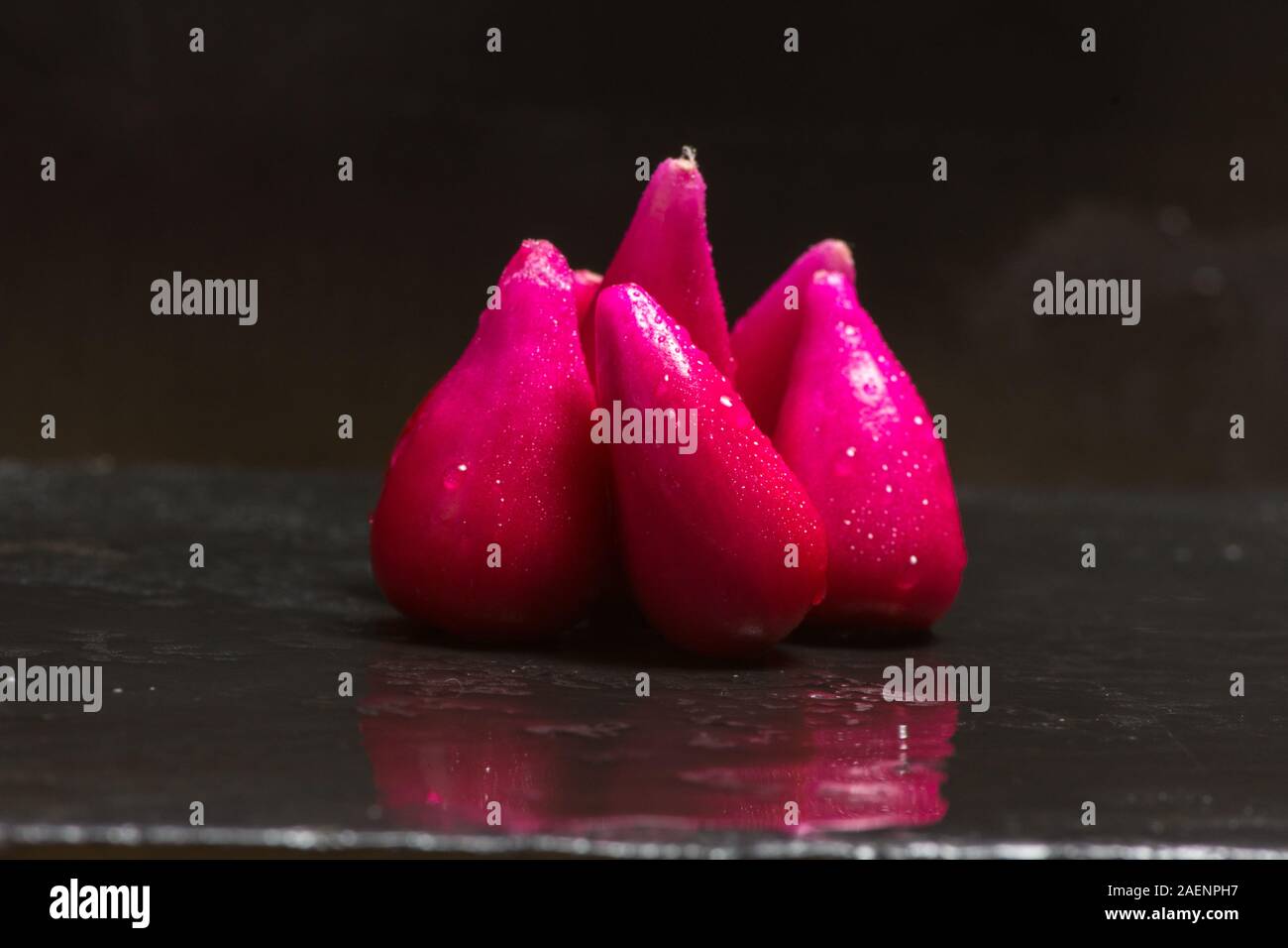 Organic Pitiguey Pink Fruit Close up . Front View Stock Photo