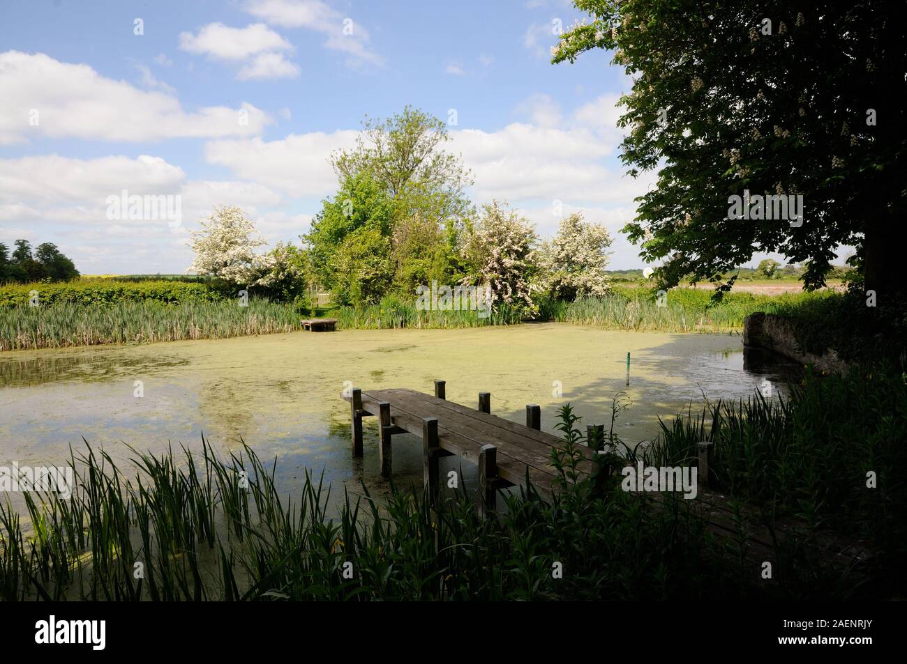 Biddenham hires stock photography and images Alamy