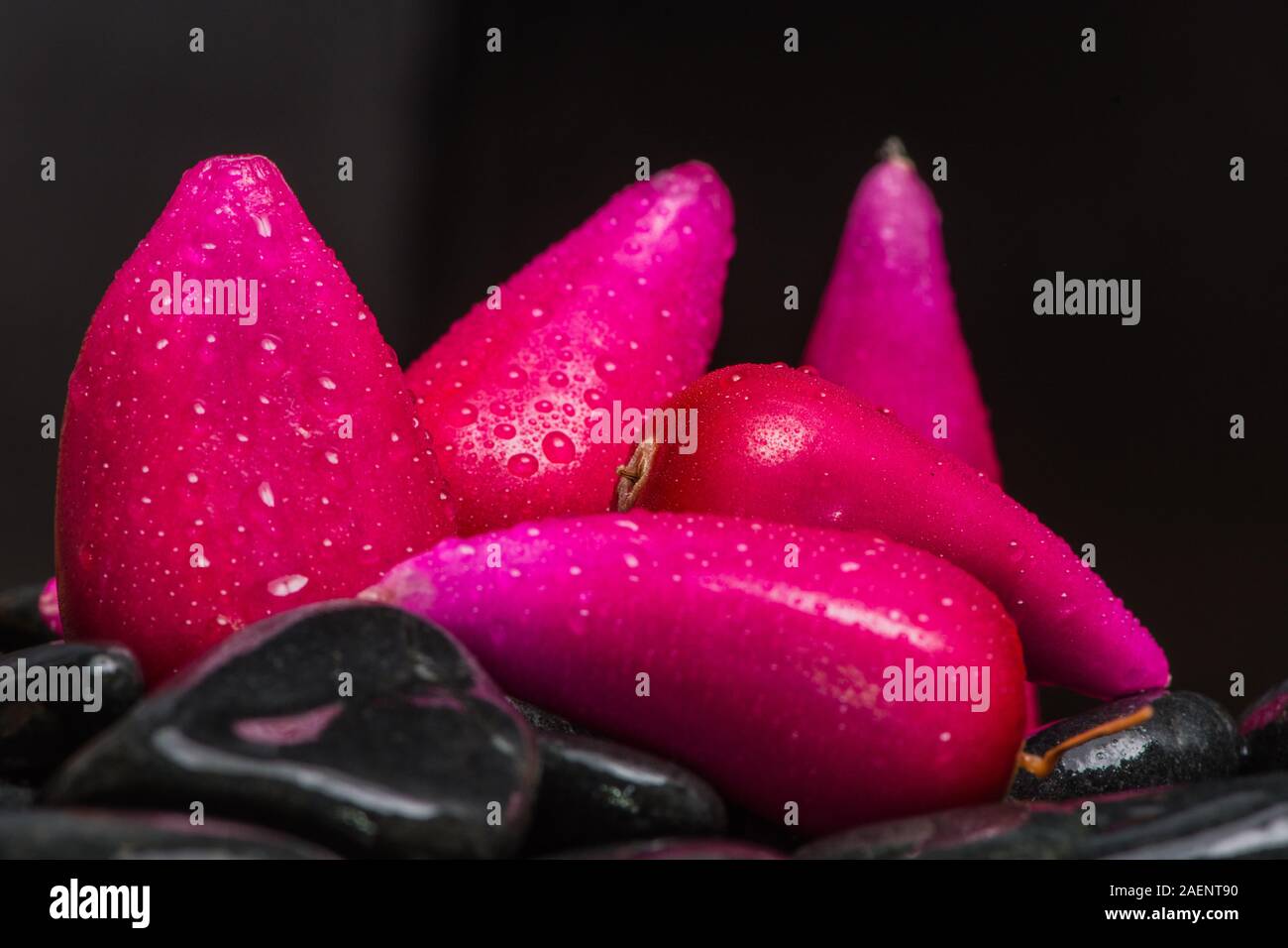 Pitiguey Pink Fruit Close up Stock Photo