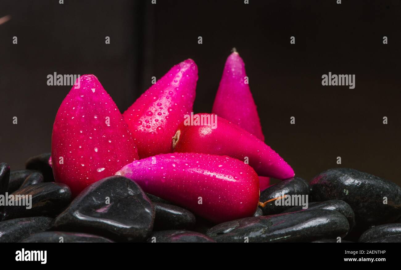 Pitiguey Pink Fruit Black Background Stock Photo