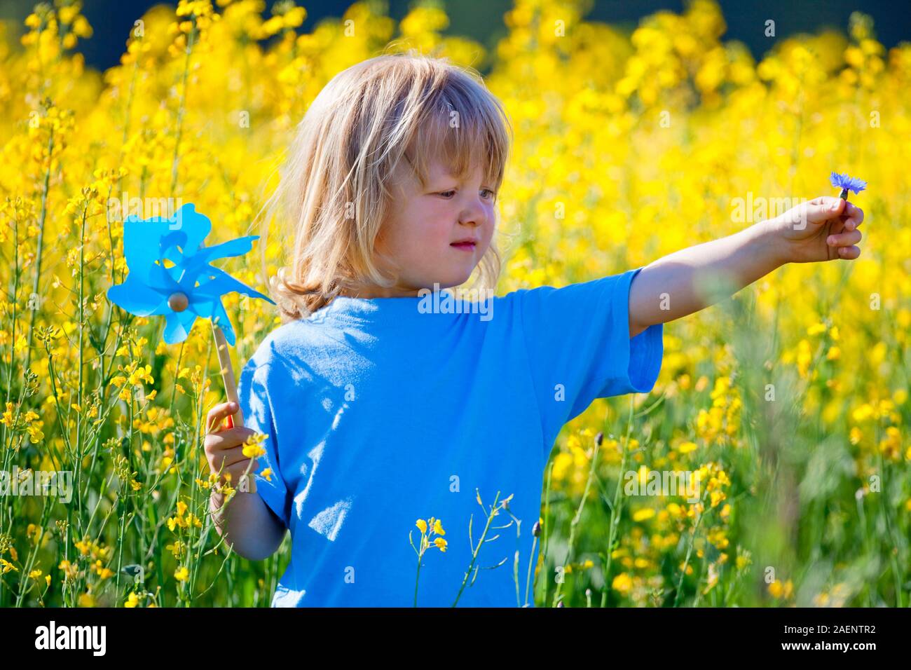 boy with long blond hair holding pinwheel in canola field Stock Photo