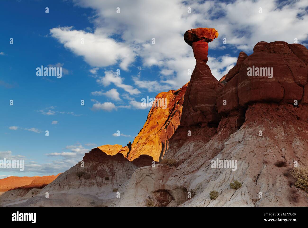 Toadstool Hoodoo amazing mushroom shaped rock in Utah desert, USA Stock Photo